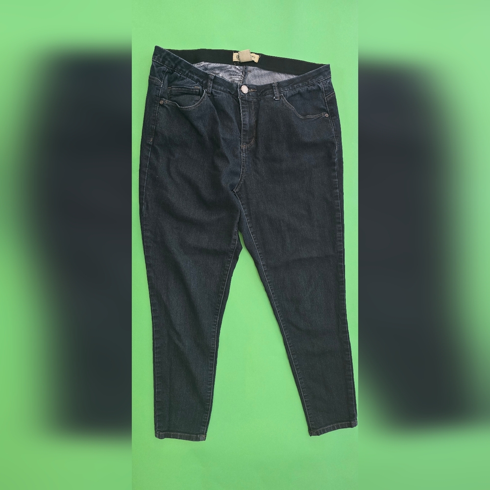 Democracy Dark Blue Denim Jeans 14W AbTechnology
